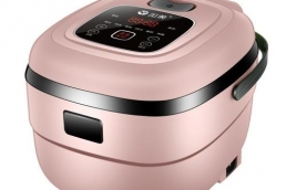 Rice cooker